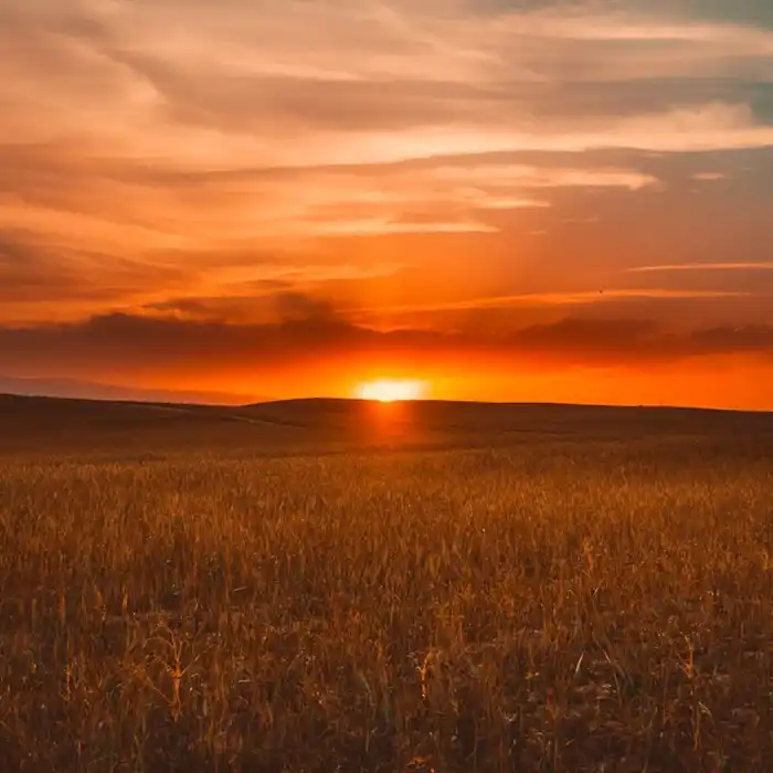 Red Sunset — website design project by Hugh Chaston